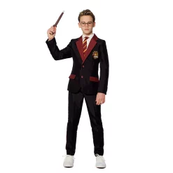 Boys 4-16 Suitmeister Harry Potter Gryffindor Halloween Suit Set