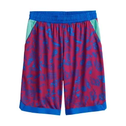 Boys 8-20 Tek Gear® Dry Tek Printed Shorts in Regular & Husky -Tek Gear Shop 5214960 Berry Doodle