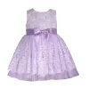 Toddler Girl Bonnie Jean Embroidered Mesh Dress
